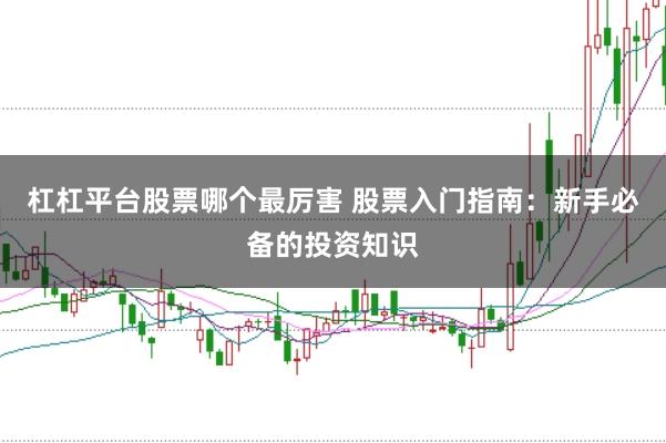 杠杠平台股票哪个最厉害 股票入门指南：新手必备的投资知识