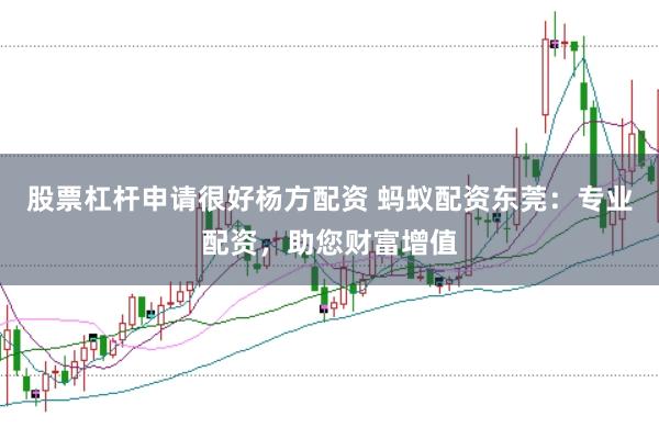 股票杠杆申请很好杨方配资 蚂蚁配资东莞：专业配资，助您财富增值