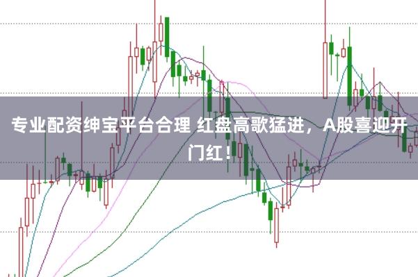 专业配资绅宝平台合理 红盘高歌猛进，A股喜迎开门红！
