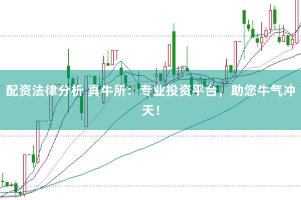 配资法律分析 真牛所：专业投资平台，助您牛气冲天！