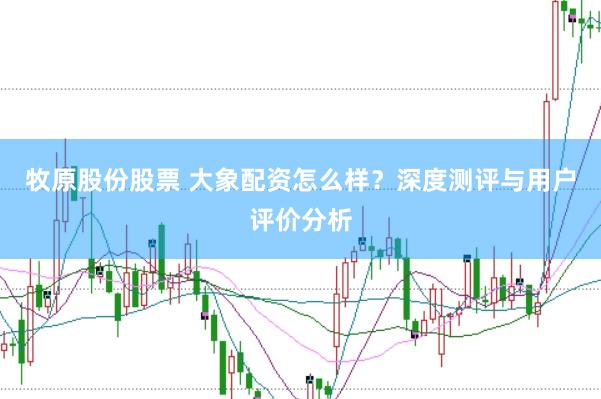 牧原股份股票 大象配资怎么样？深度测评与用户评价分析