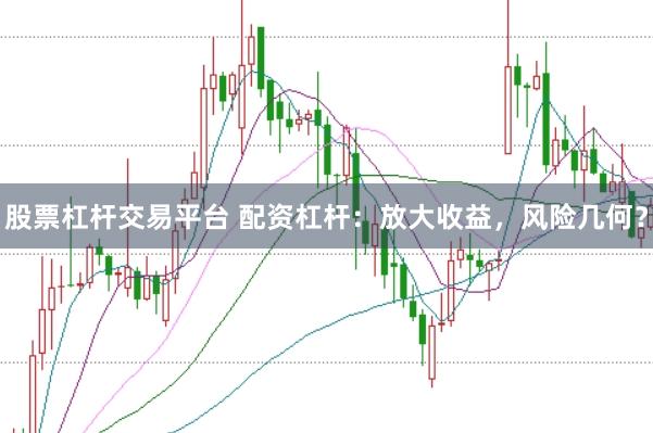 股票杠杆交易平台 配资杠杆：放大收益，风险几何？