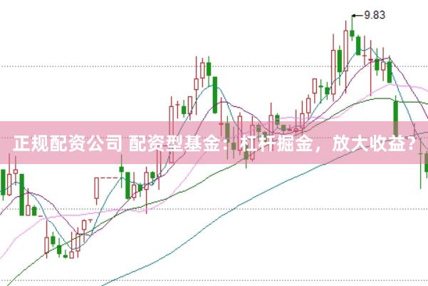 正规配资公司 配资型基金：杠杆掘金，放大收益？