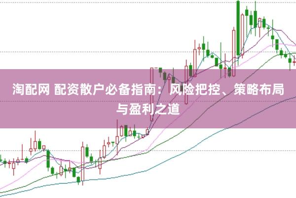 淘配网 配资散户必备指南：风险把控、策略布局与盈利之道