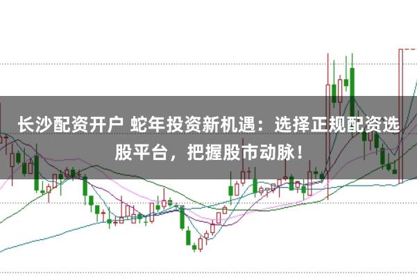 长沙配资开户 蛇年投资新机遇:选择正规配资选股平台,把握股市动脉!