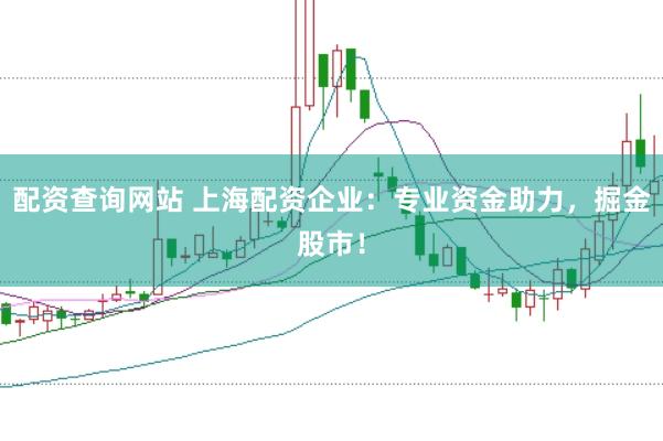 配资查询网站 上海配资企业:专业资金助力,掘金股市!