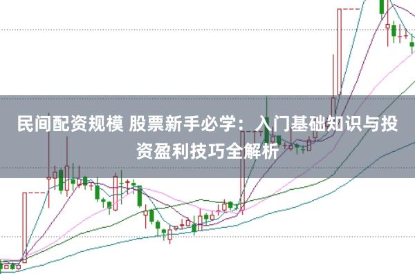 民间配资规模 股票新手必学:入门基础知识与投资盈利技巧全解析