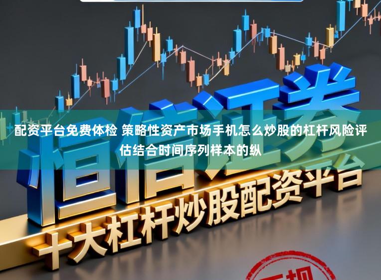 配资平台免费体检 策略性资产市场手机怎么炒股的杠杆风险评估结合时间序列样本的纵
