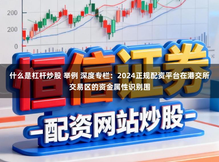 什么是杠杆炒股 举例 深度专栏：2024正规配资平台在港交所交易区的资金属性识别围