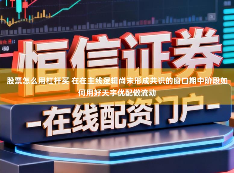 股票怎么用杠杆买 在在主线逻辑尚未形成共识的窗口期中阶段如何用好天宇优配做流动