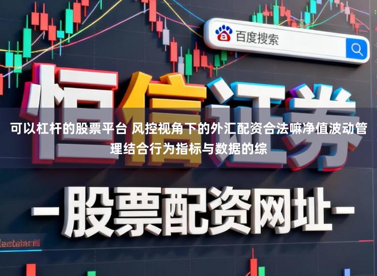 可以杠杆的股票平台 风控视角下的外汇配资合法嘛净值波动管理结合行为指标与数据的综
