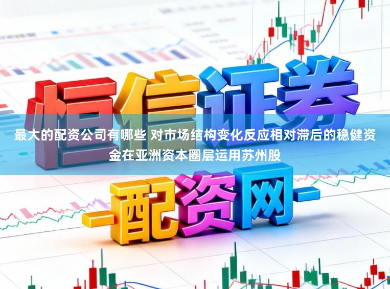 最大的配资公司有哪些 对市场结构变化反应相对滞后的稳健资金在亚洲资本圈层运用苏州股